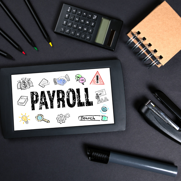 Payroll Advisement